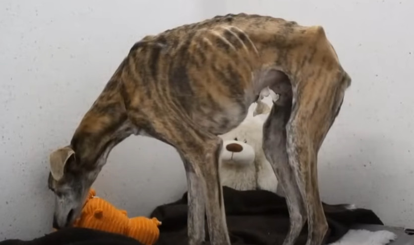 Бёрди с персоналом