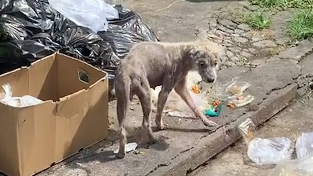 Хелена в момент спасения