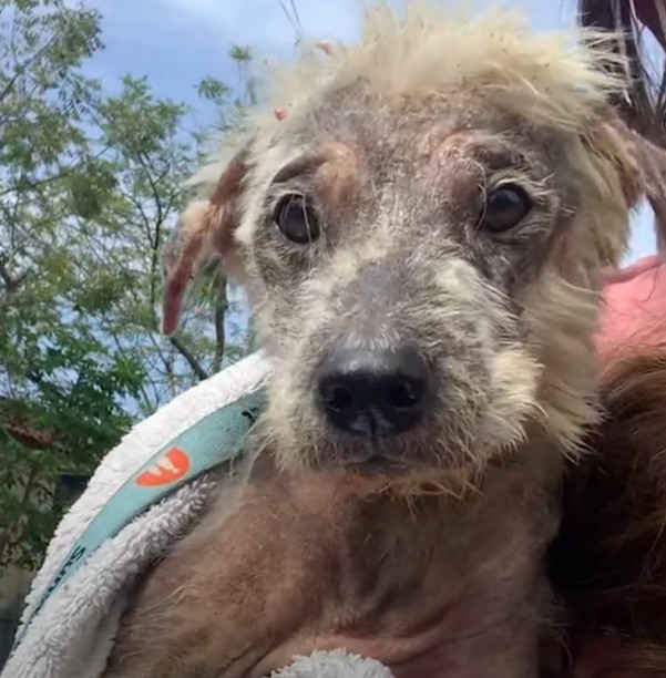 Процесс лечения Хелены