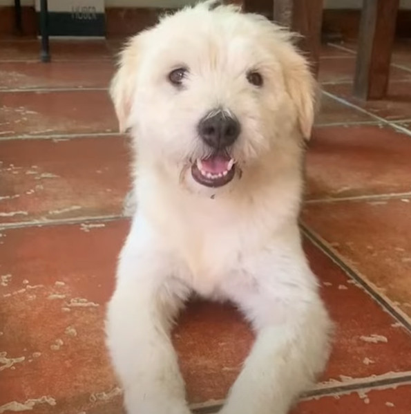 Хелена — символ второго шанса