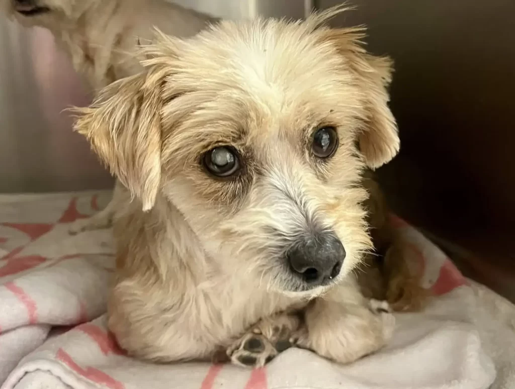 Возвращение вместе