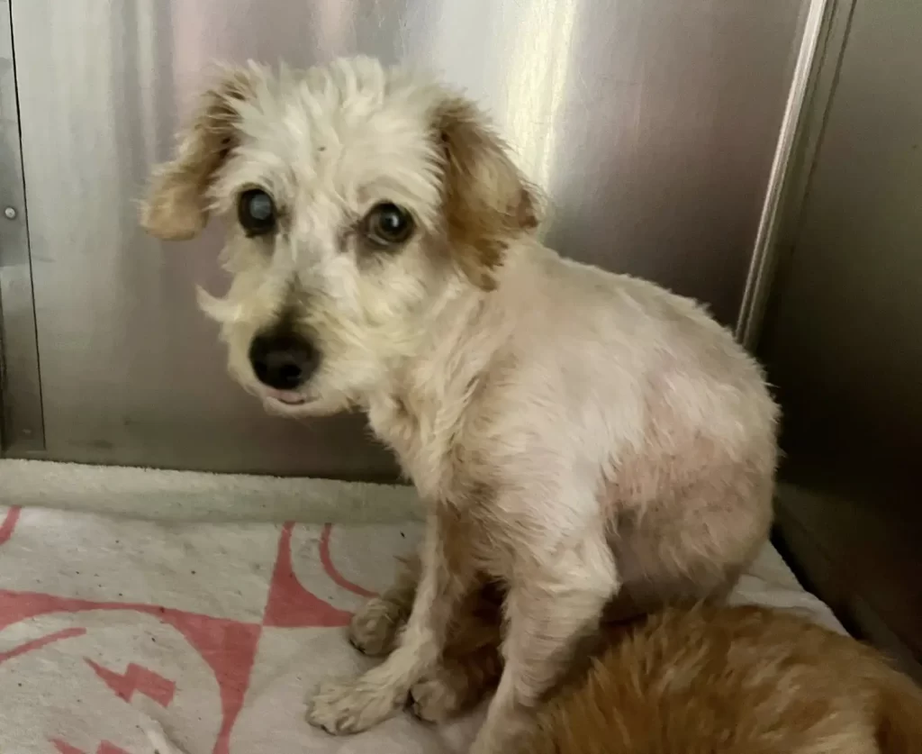 В приёмном доме