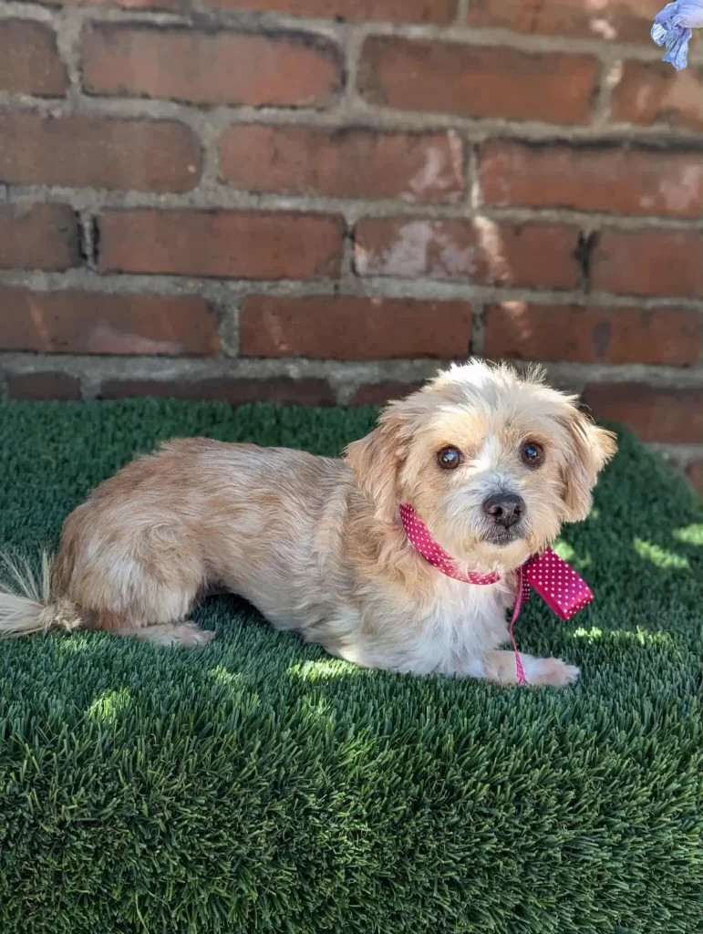 Здоровые и счастливые