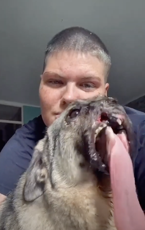 Moaca in Netherlands